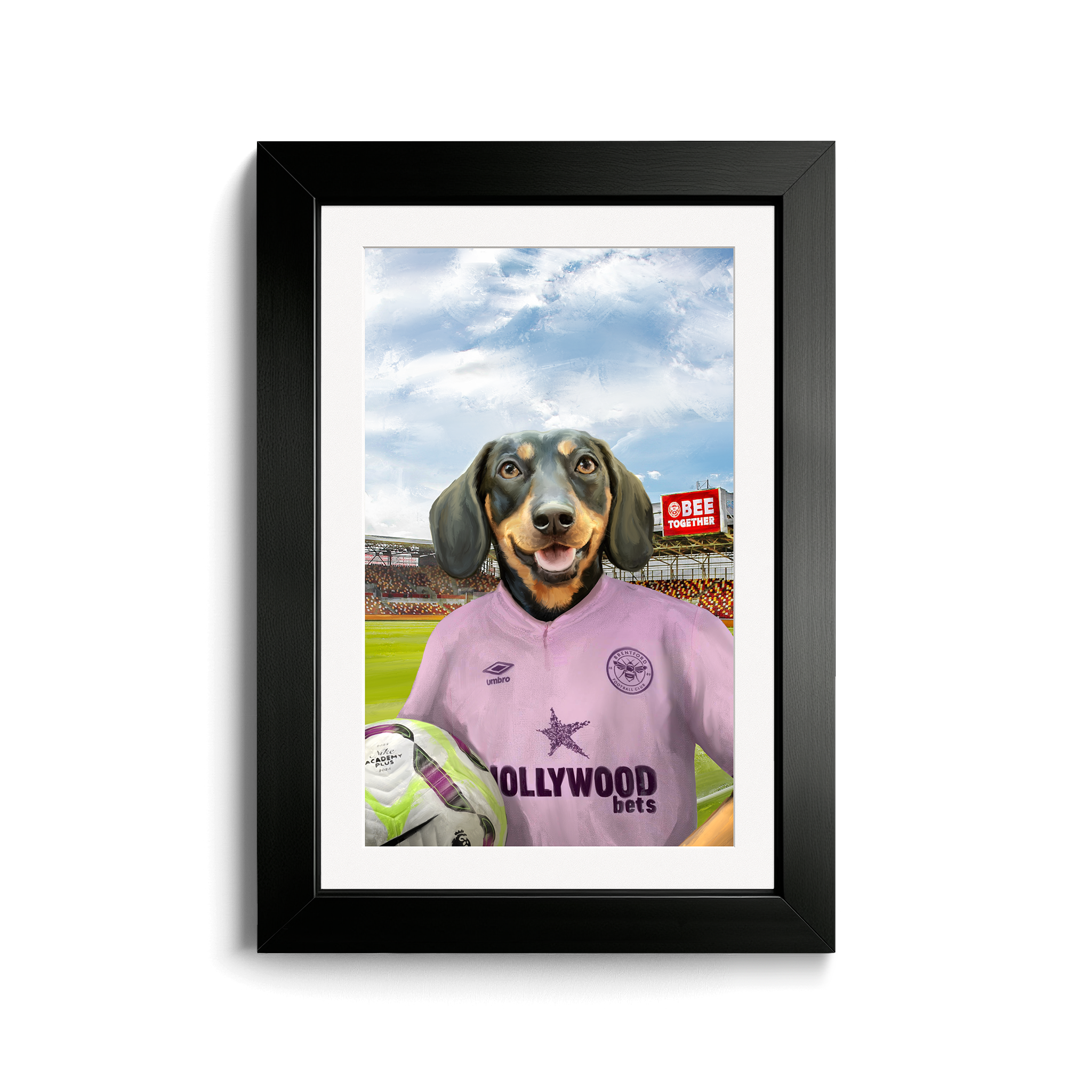 Your Pet in a Brentford FC Away Shirt inside Ground