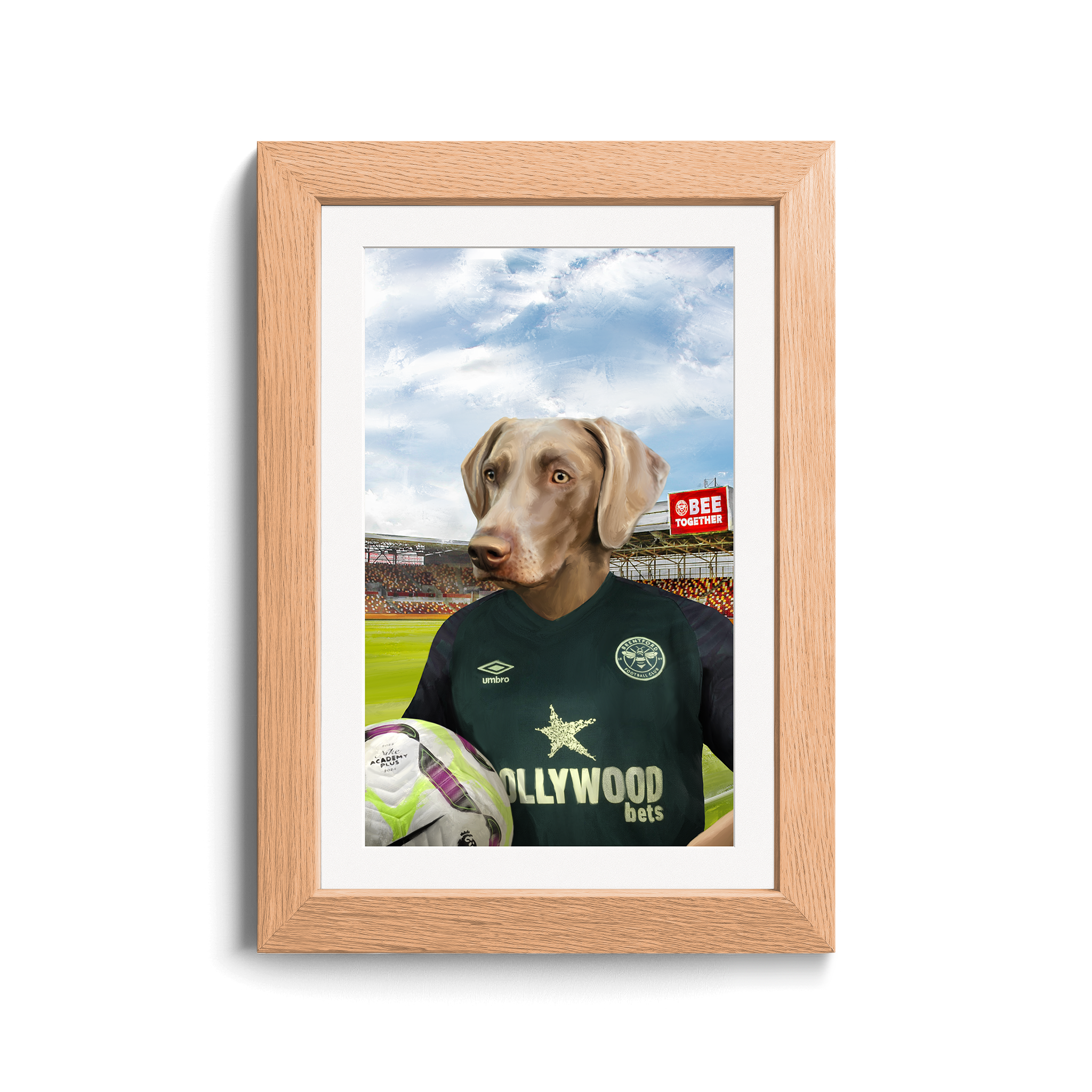 Your Pet in a Brentford FC 3rd Shirt inside Ground