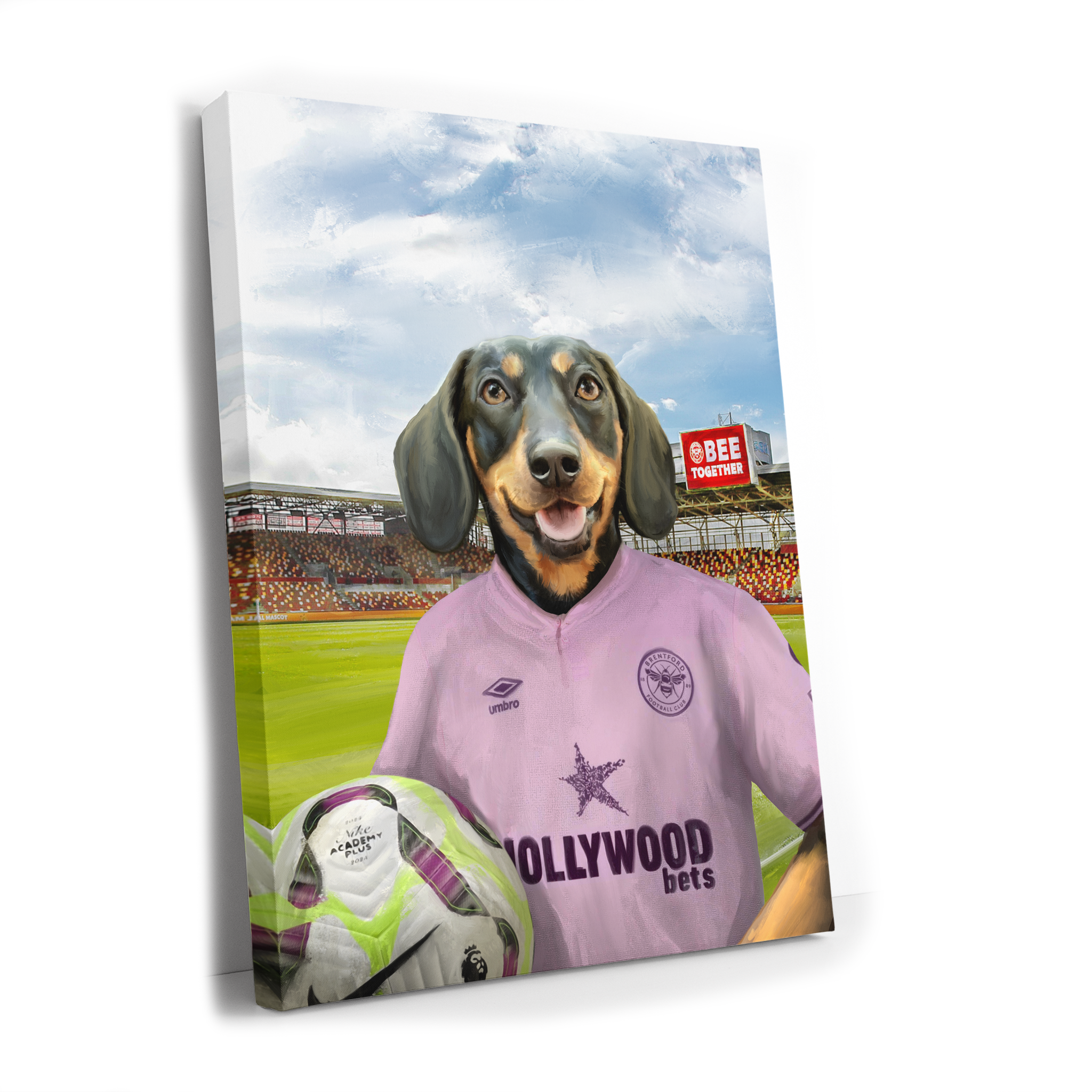 Your Pet in a Brentford FC Away Shirt inside Ground