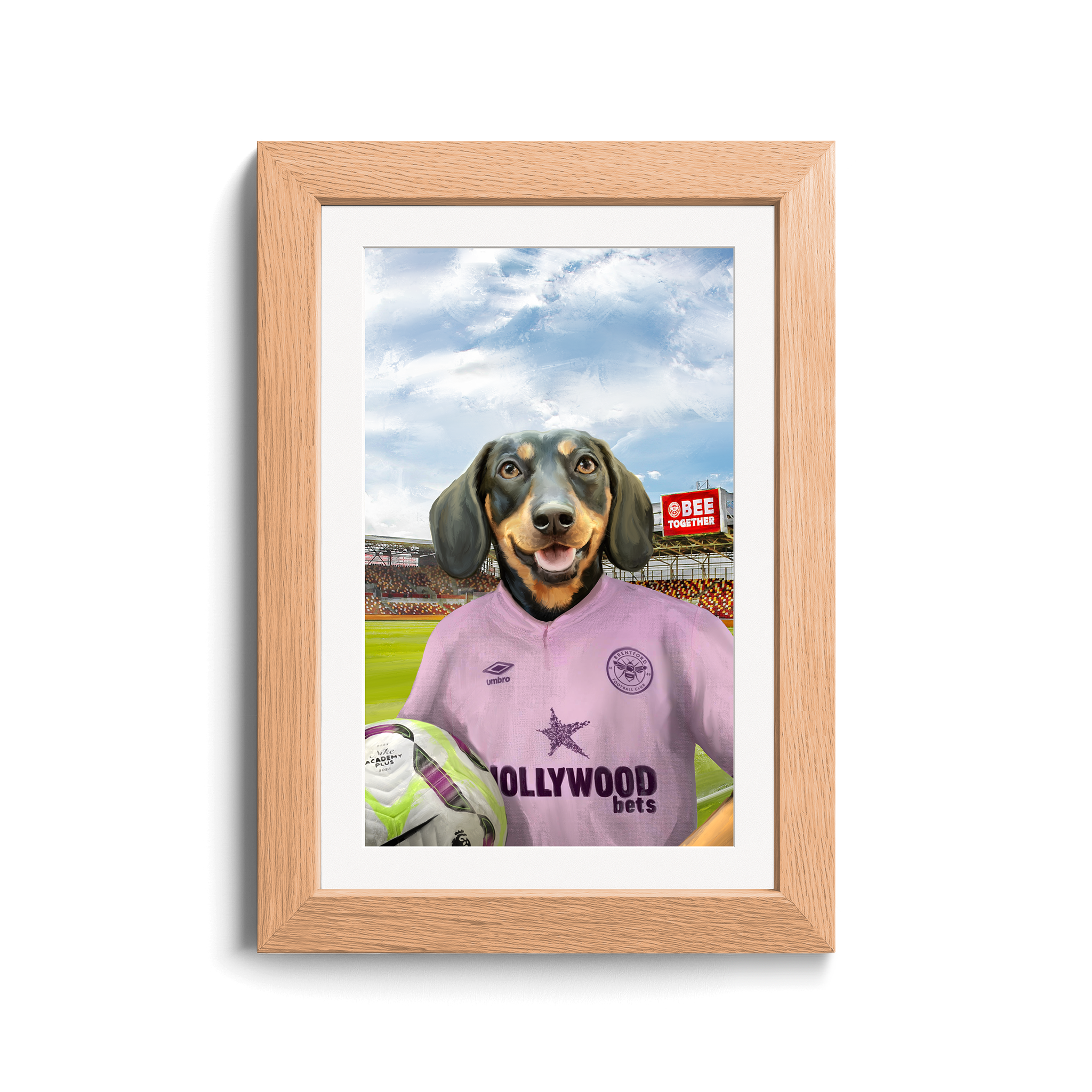 Your Pet in a Brentford FC Away Shirt inside Ground