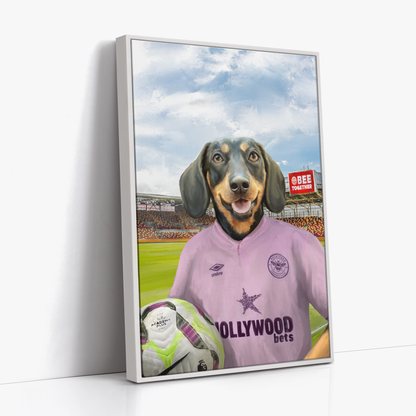 Your Pet in a Brentford FC Away Shirt inside Ground