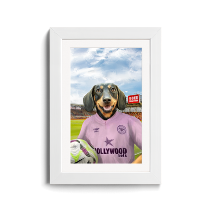 Your Pet in a Brentford FC Away Shirt inside Ground