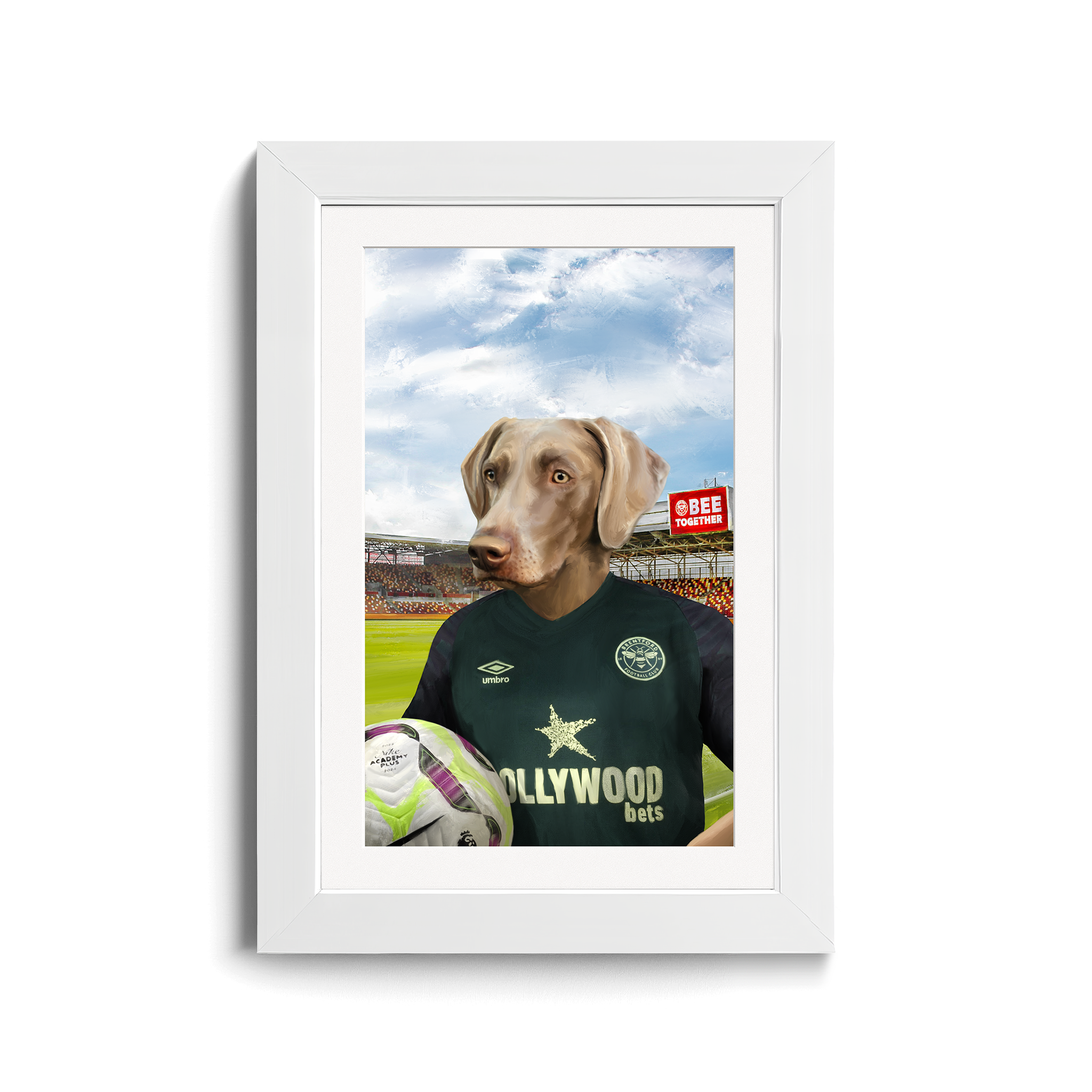 Your Pet in a Brentford FC 3rd Shirt inside Ground