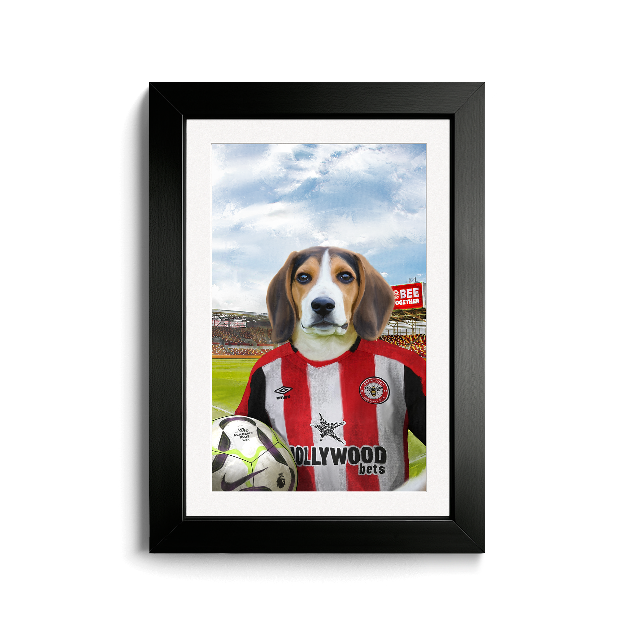 Your Pet in a Brentford FC Home Shirt inside Ground