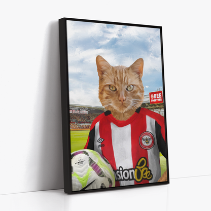 Your Pet in a Brentford FC Jnr Home Shirt inside Ground