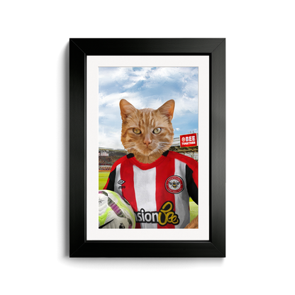 Your Pet in a Brentford FC Jnr Home Shirt inside Ground