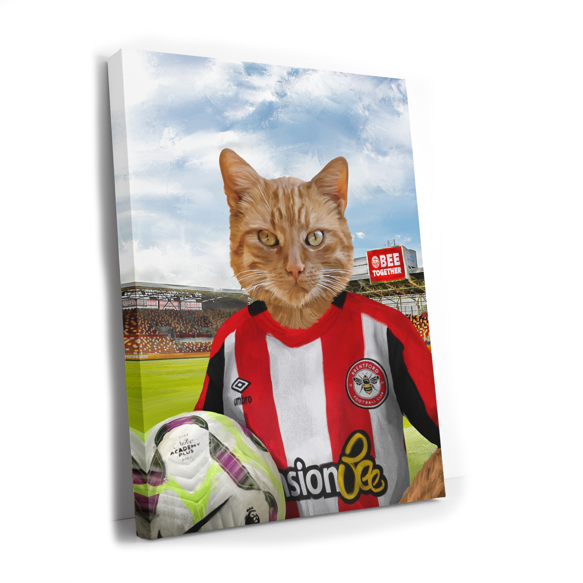 Your Pet in a Brentford FC Jnr Home Shirt inside Ground