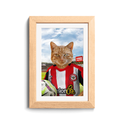 Your Pet in a Brentford FC Jnr Home Shirt inside Ground