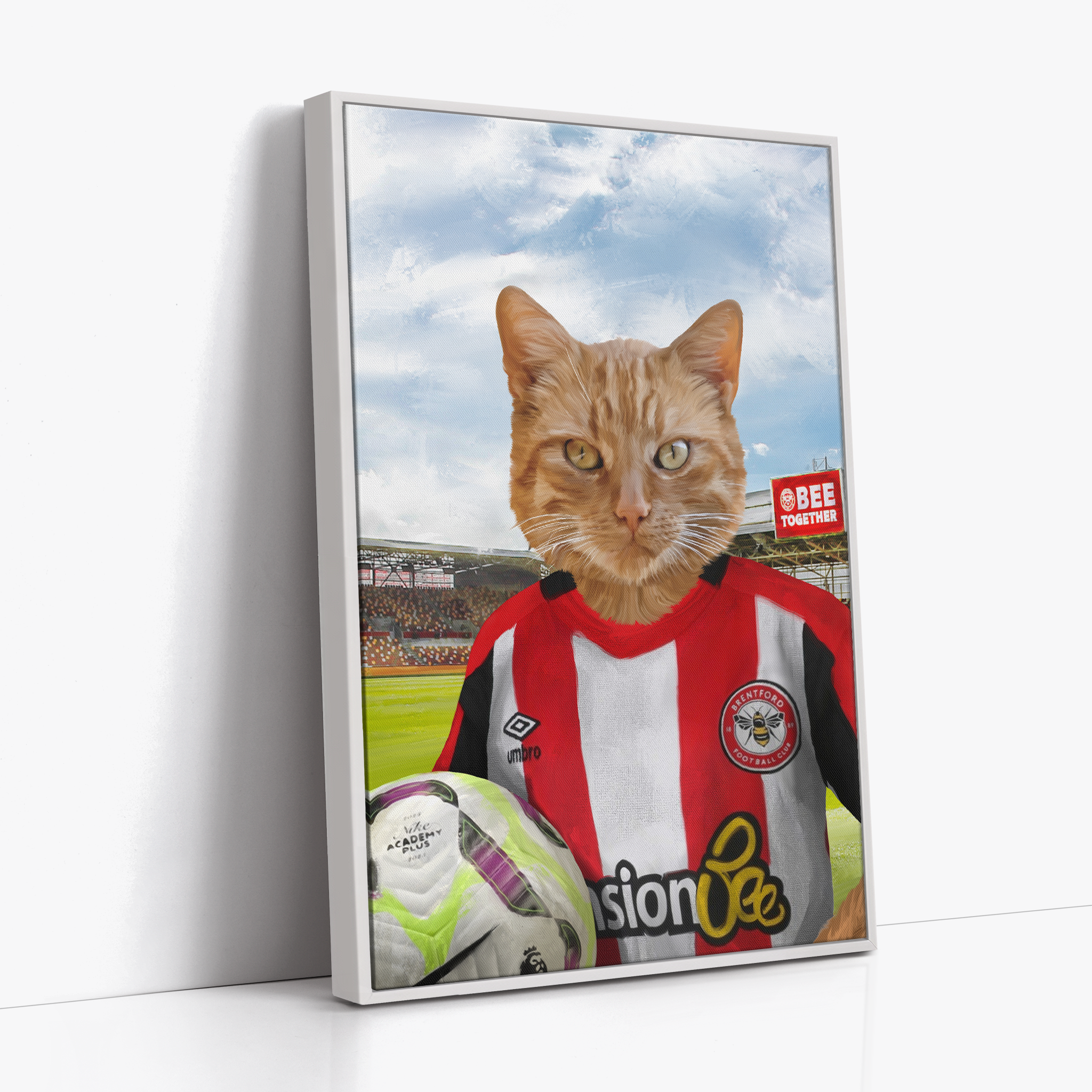 Your Pet in a Brentford FC Jnr Home Shirt inside Ground