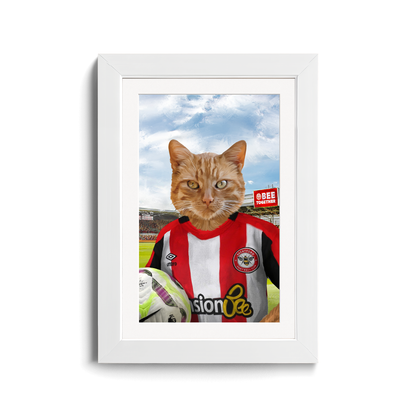 Your Pet in a Brentford FC Jnr Home Shirt inside Ground