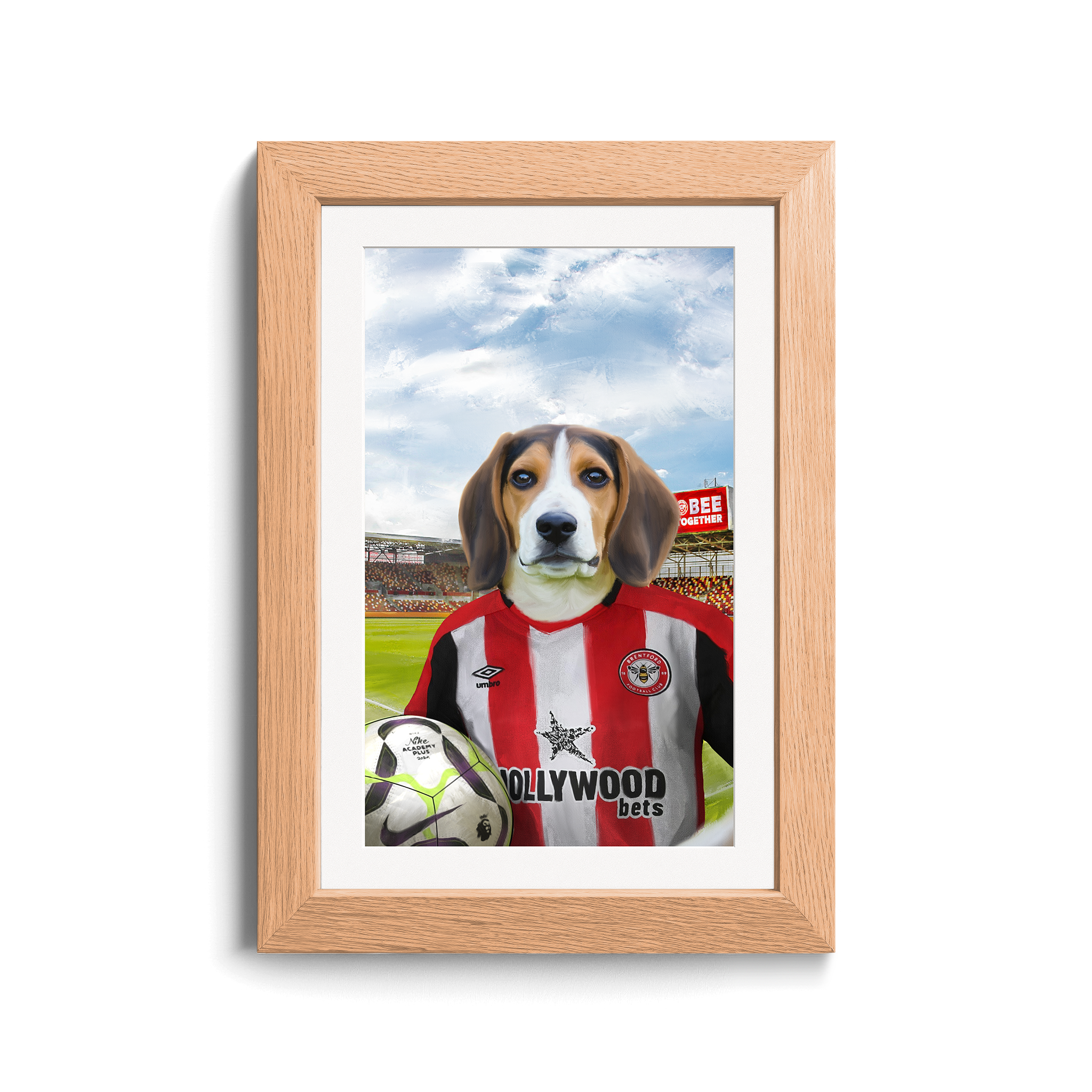 Your Pet in a Brentford FC Home Shirt inside Ground