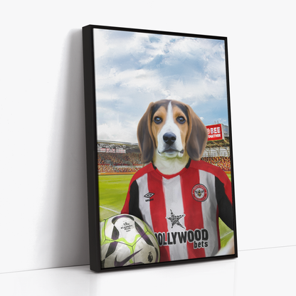 Your Pet in a Brentford FC Home Shirt inside Ground