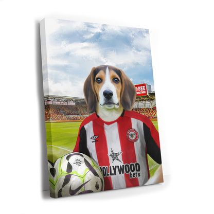 Your Pet in a Brentford FC Home Shirt inside Ground