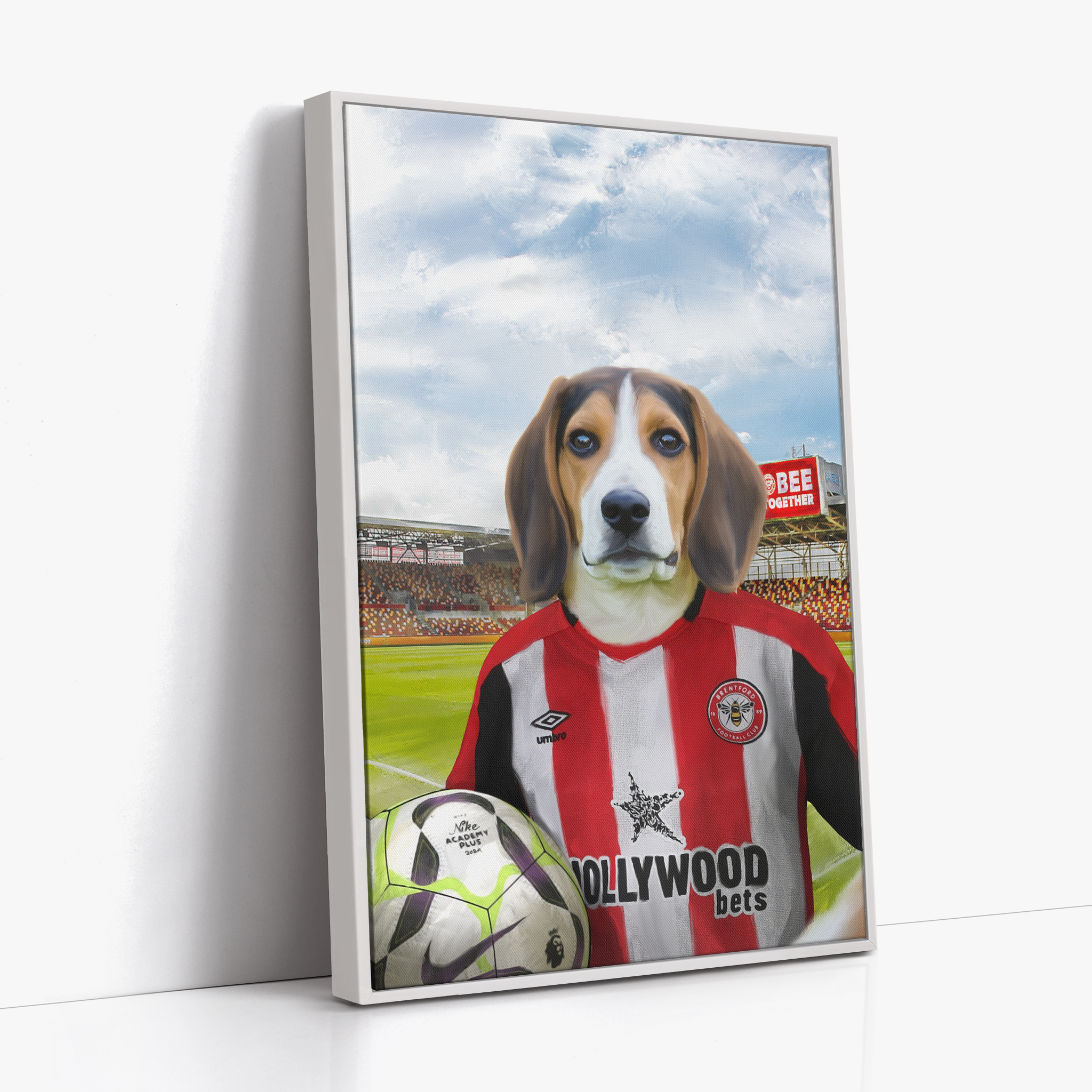 Your Pet in a Brentford FC Home Shirt inside Ground