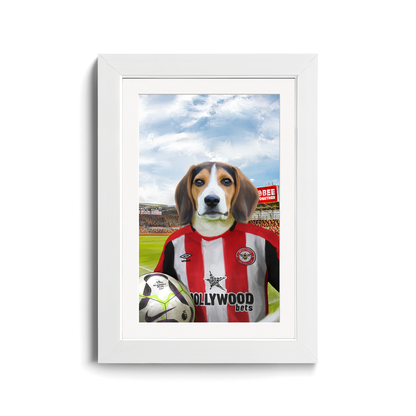 Your Pet in a Brentford FC Home Shirt inside Ground