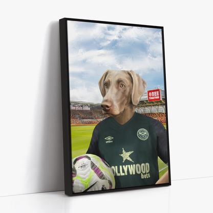 Your Pet in a Brentford FC 3rd Shirt inside Ground