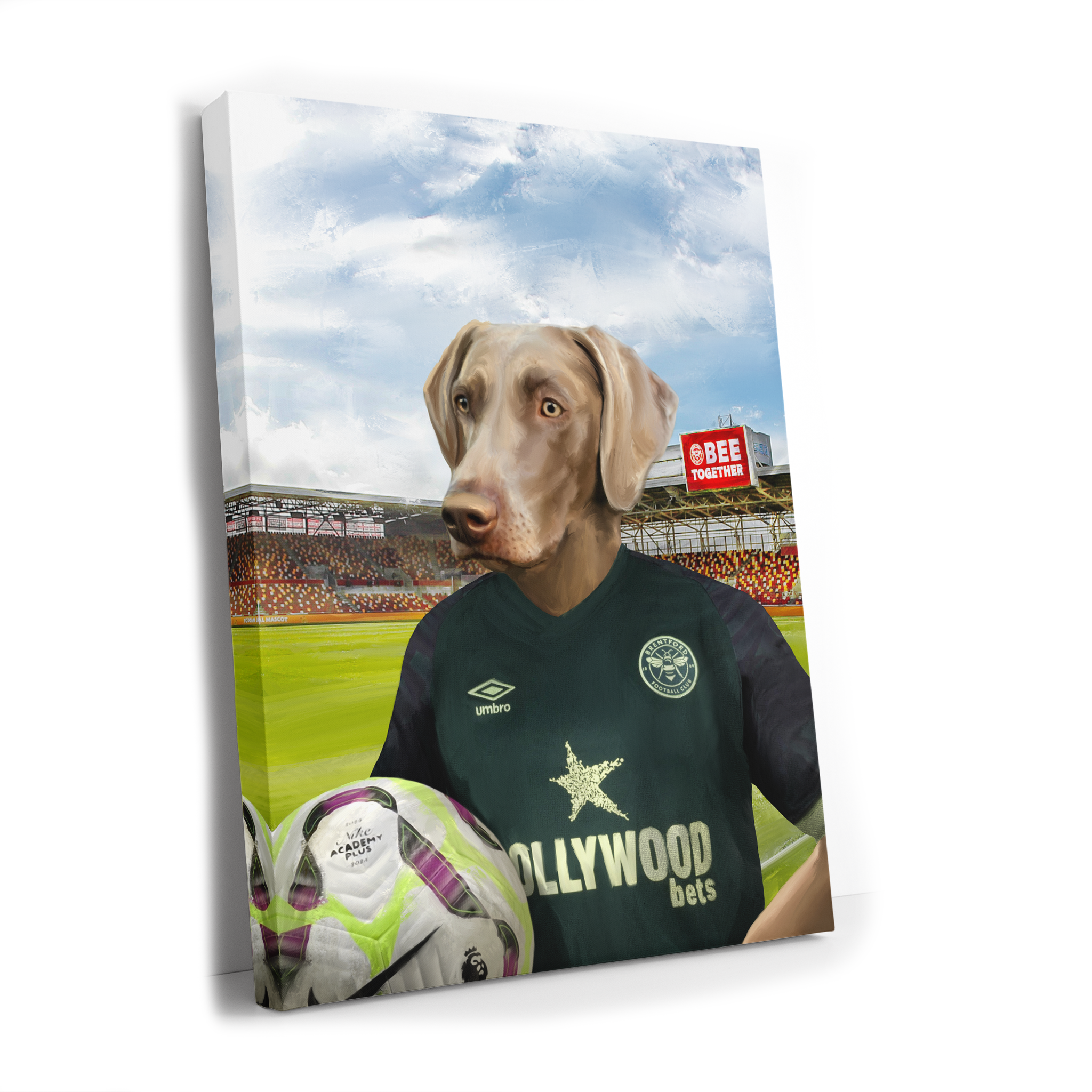 Your Pet in a Brentford FC 3rd Shirt inside Ground