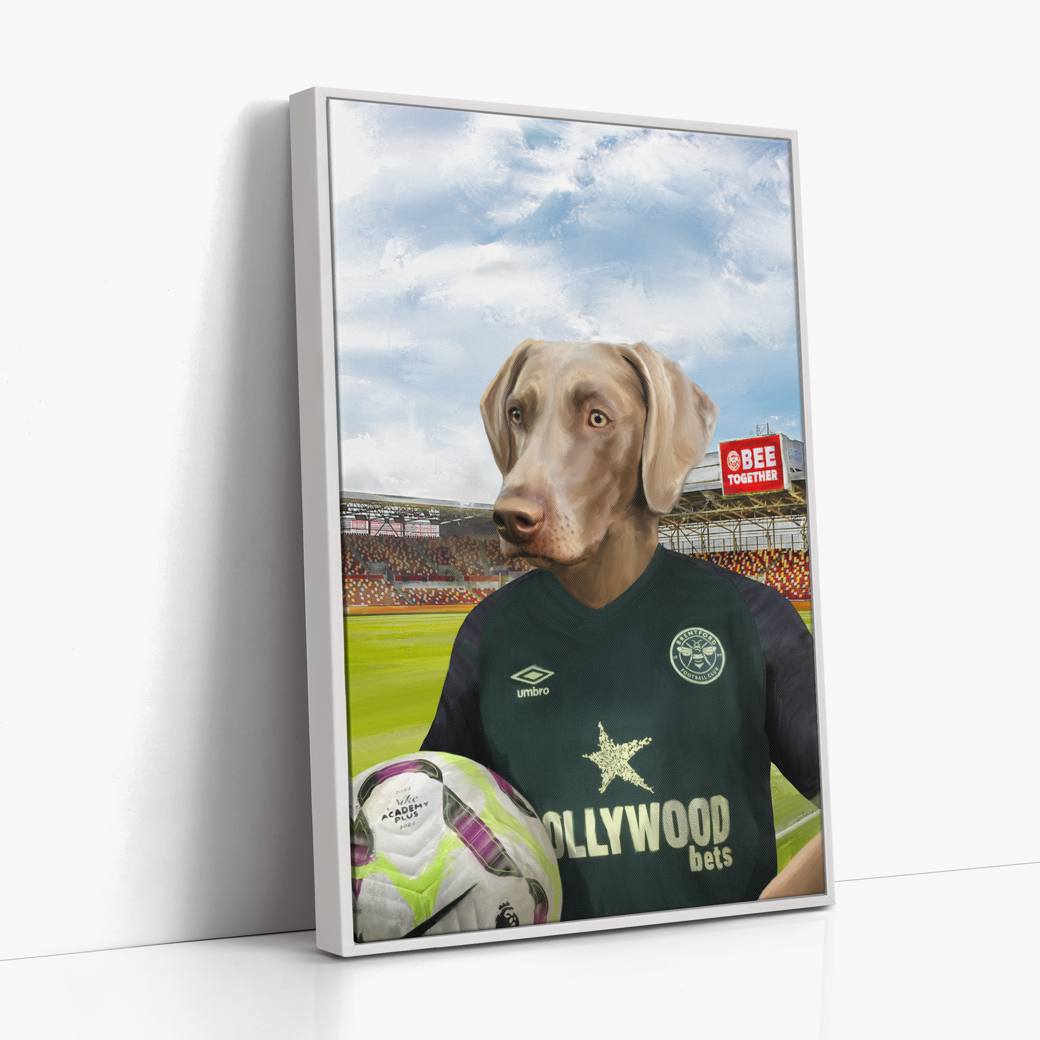 Your Pet in a Brentford FC 3rd Shirt inside Ground