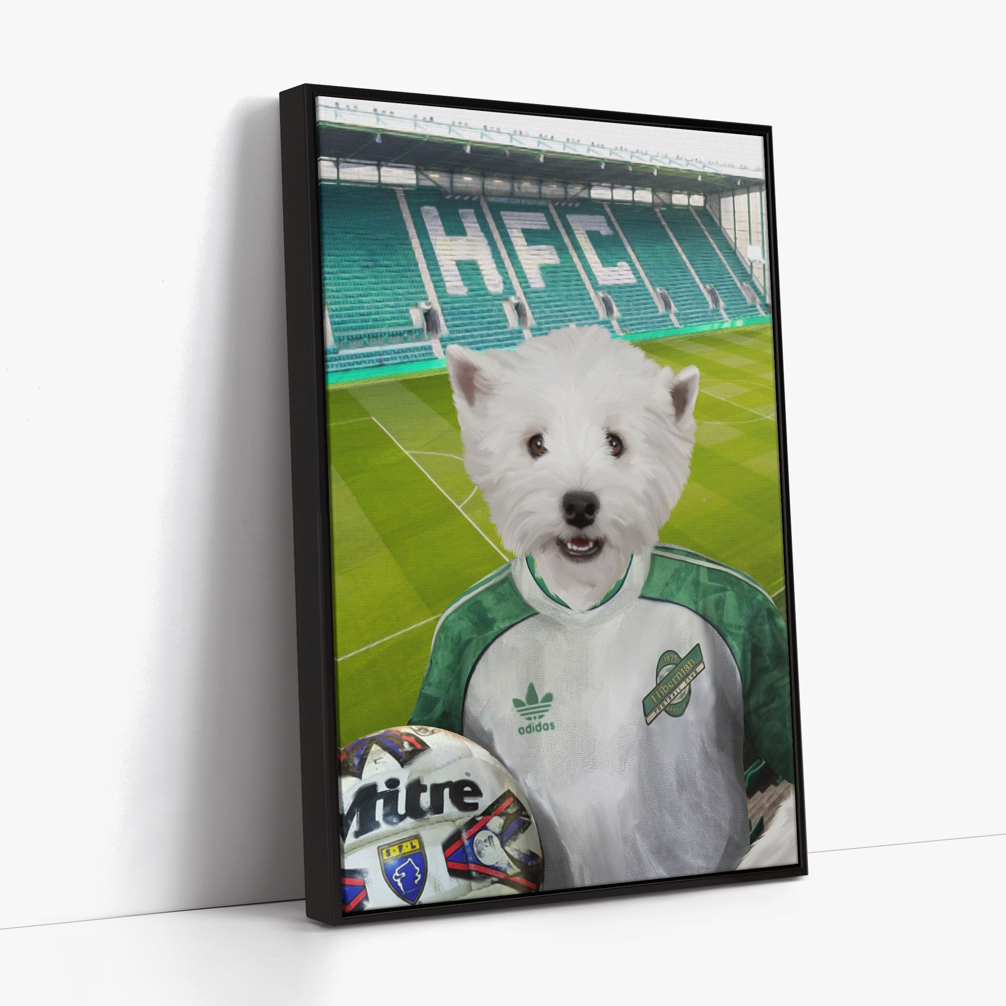 Your Pet in a Hibernian Away 1991-92 Retro Shirt inside Ground