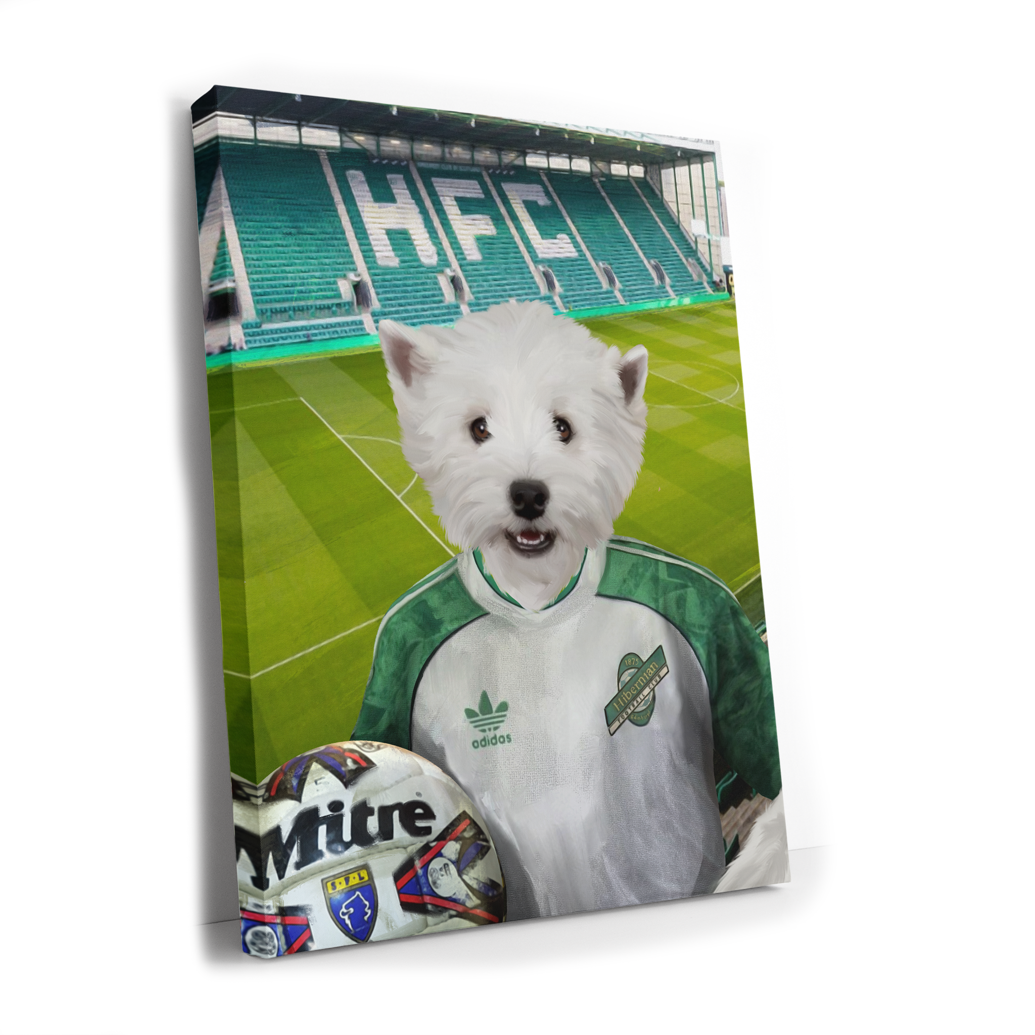 Your Pet in a Hibernian Away 1991-92 Retro Shirt inside Ground