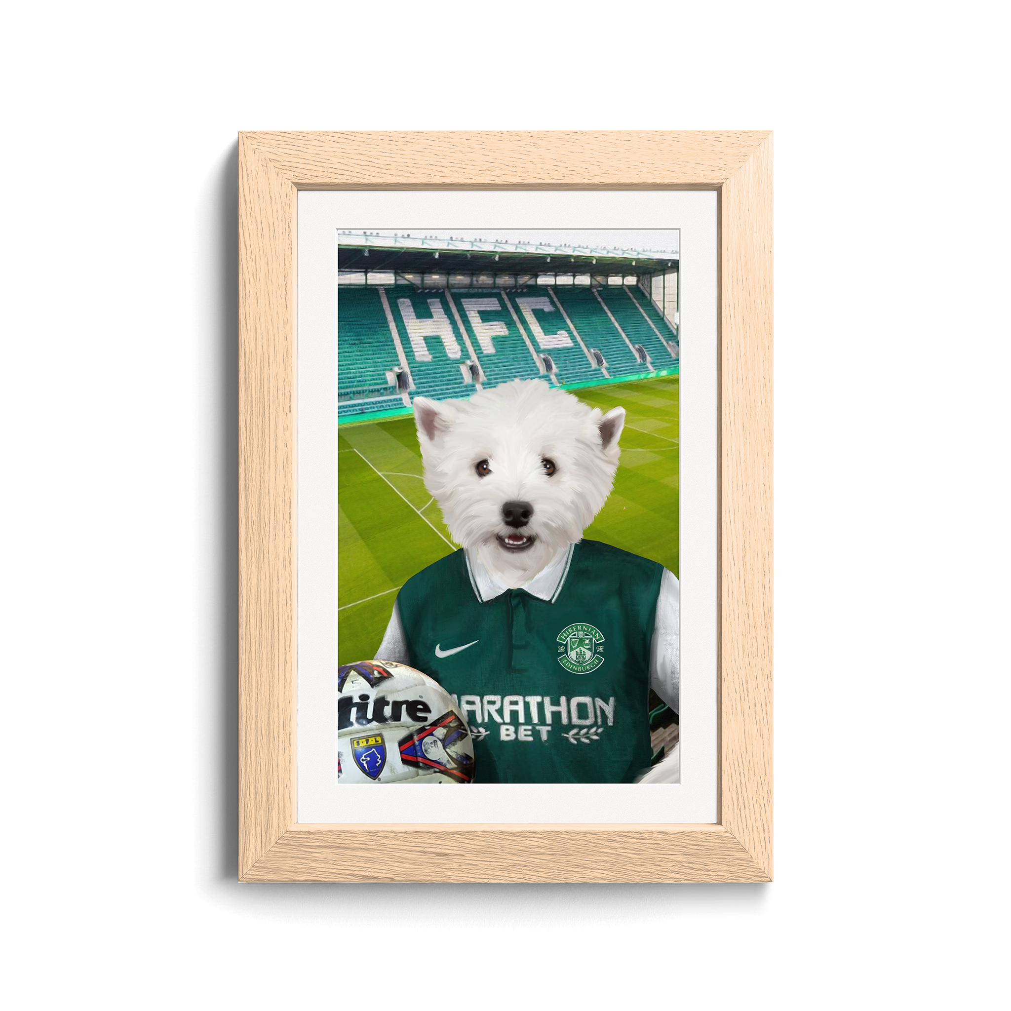 Your Pet in a Hibernian Home 2015-16 Retro Shirt inside Ground