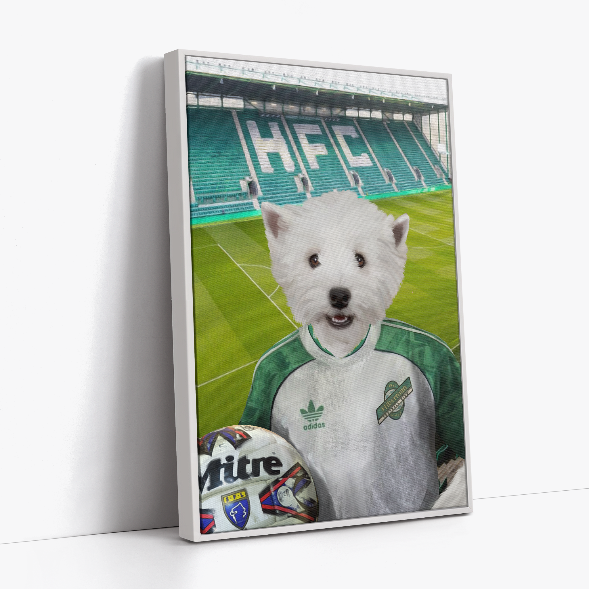 Your Pet in a Hibernian Away 1991-92 Retro Shirt inside Ground