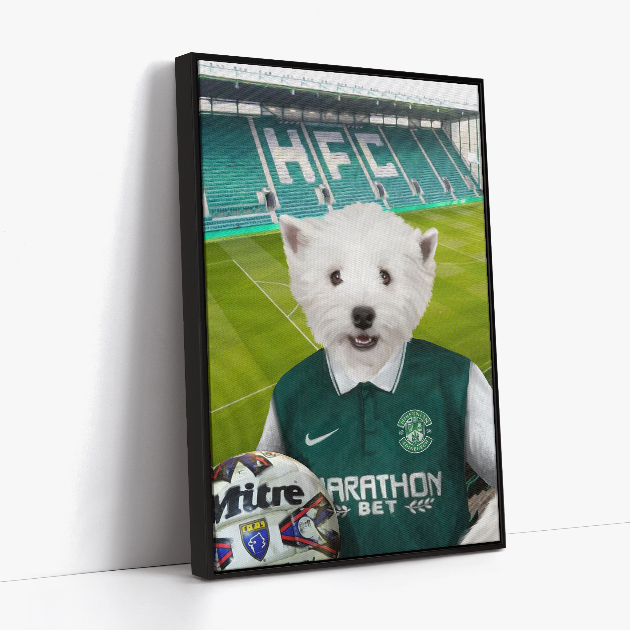 Your Pet in a Hibernian Home 2015-16 Retro Shirt inside Ground