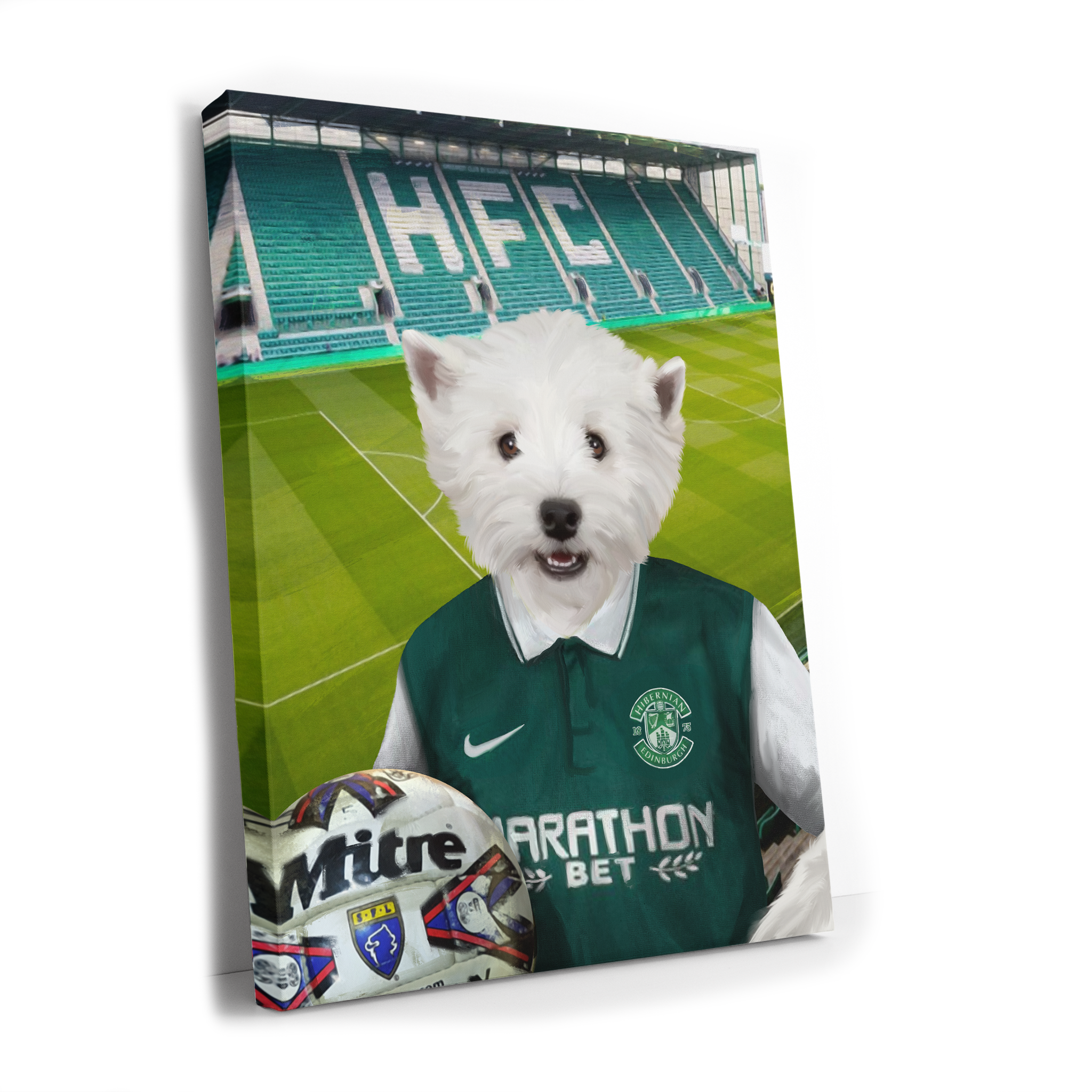 Your Pet in a Hibernian Home 2015-16 Retro Shirt inside Ground