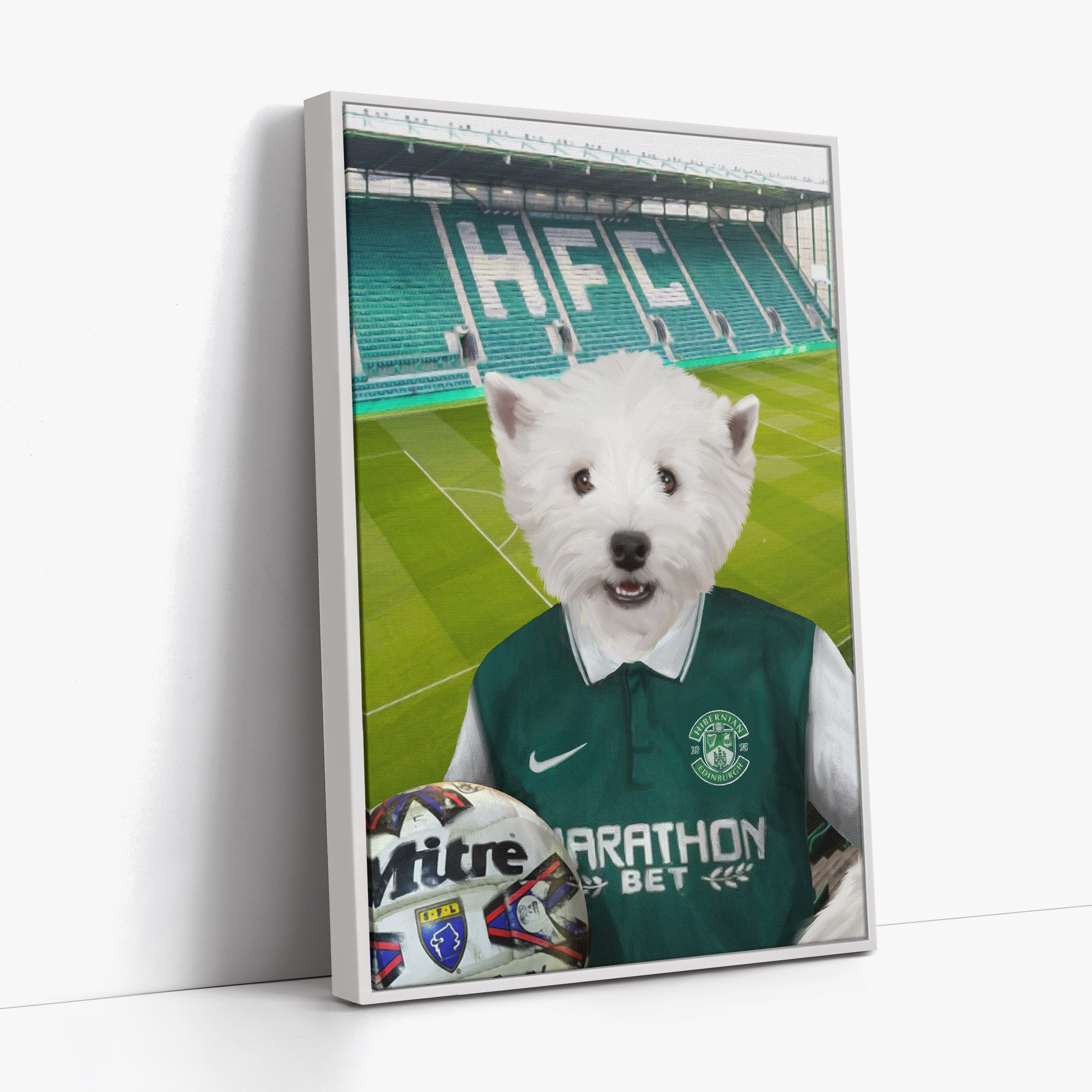 Your Pet in a Hibernian Home 2015-16 Retro Shirt inside Ground