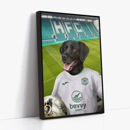 Your Pet in a  Hibernian 24/25 Away Shirt inside Ground