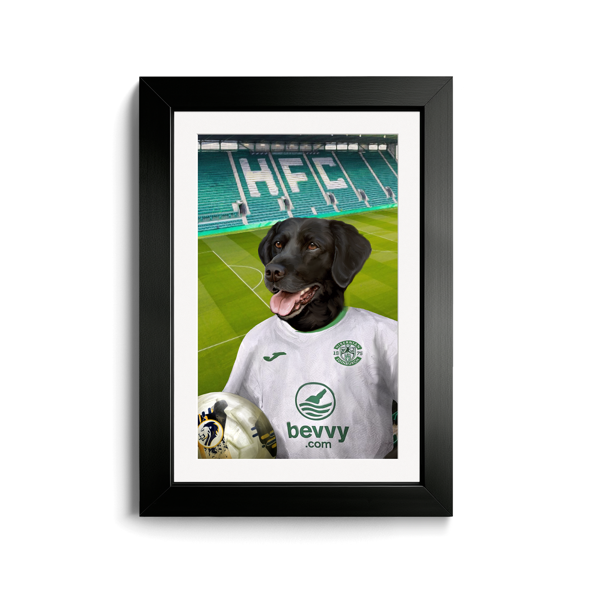 Your Pet in a  Hibernian 24/25 Away Shirt inside Ground