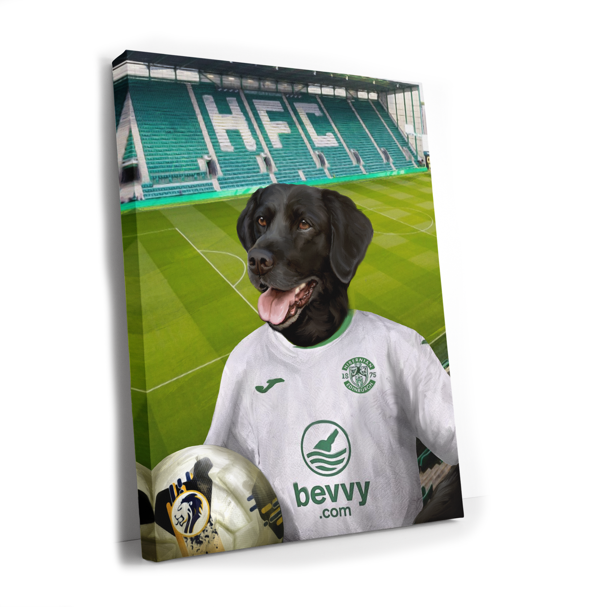 Your Pet in a  Hibernian 24/25 Away Shirt inside Ground