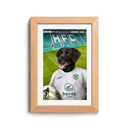 Your Pet in a  Hibernian 24/25 Away Shirt inside Ground