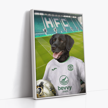 Your Pet in a  Hibernian 24/25 Away Shirt inside Ground