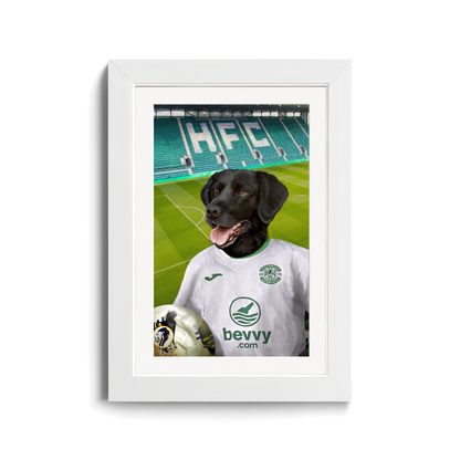 Your Pet in a  Hibernian 24/25 Away Shirt inside Ground