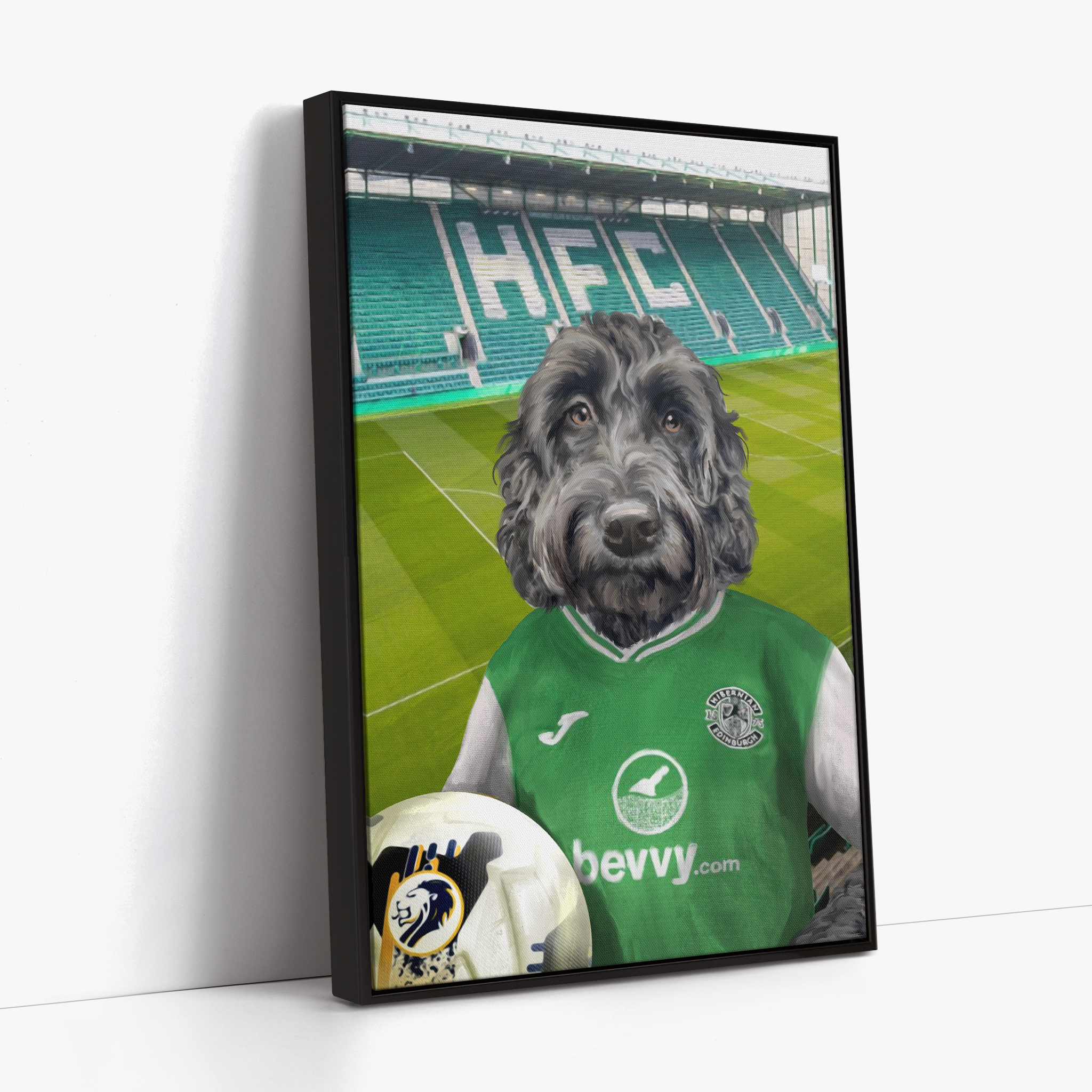 Your Pet in a Hibernian Home 24/25 Shirt inside Ground