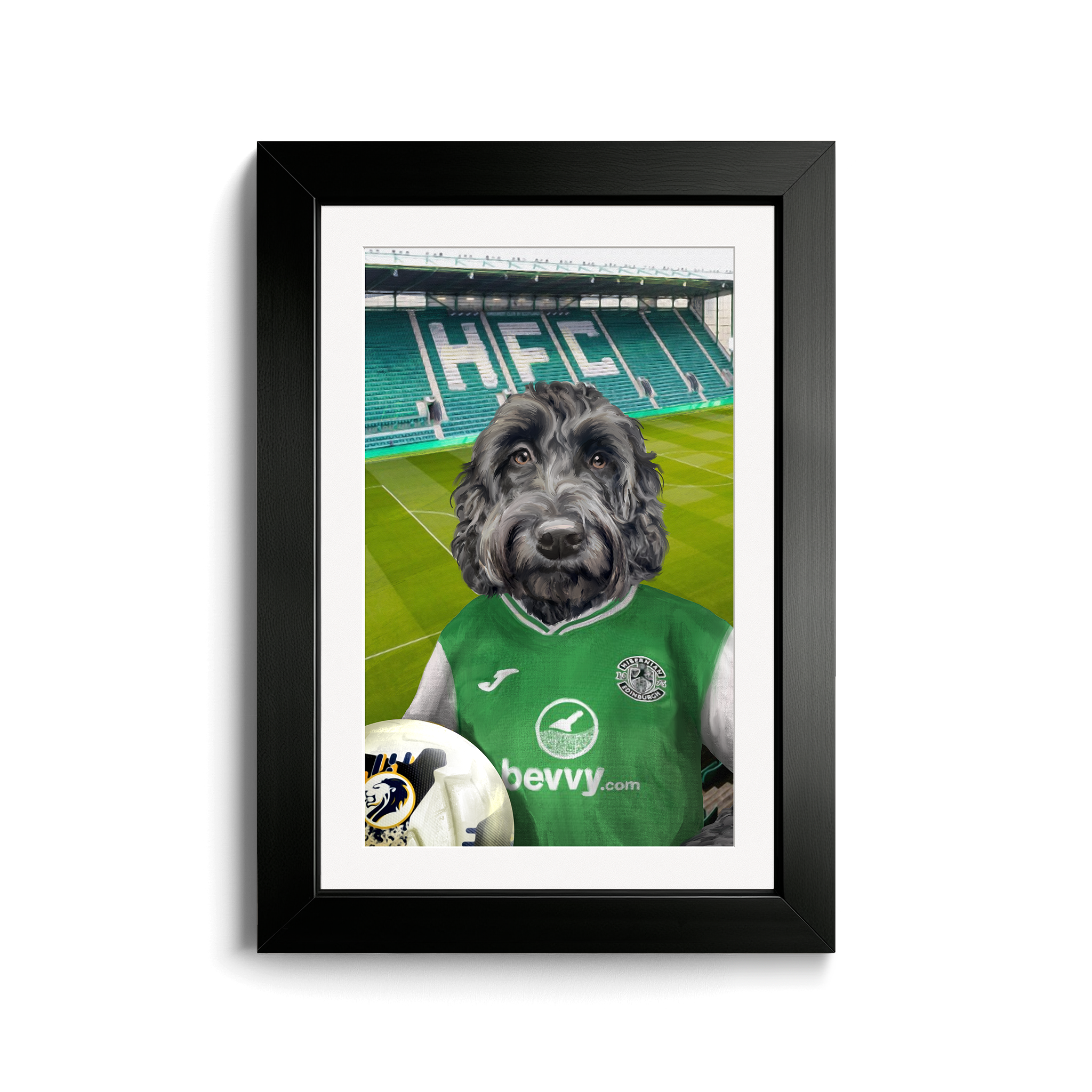 Your Pet in a Hibernian Home 24/25 Shirt inside Ground