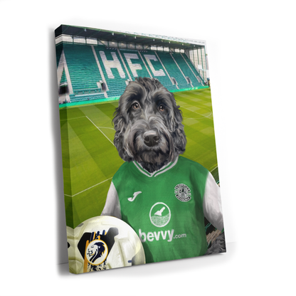 Your Pet in a Hibernian Home 24/25 Shirt inside Ground