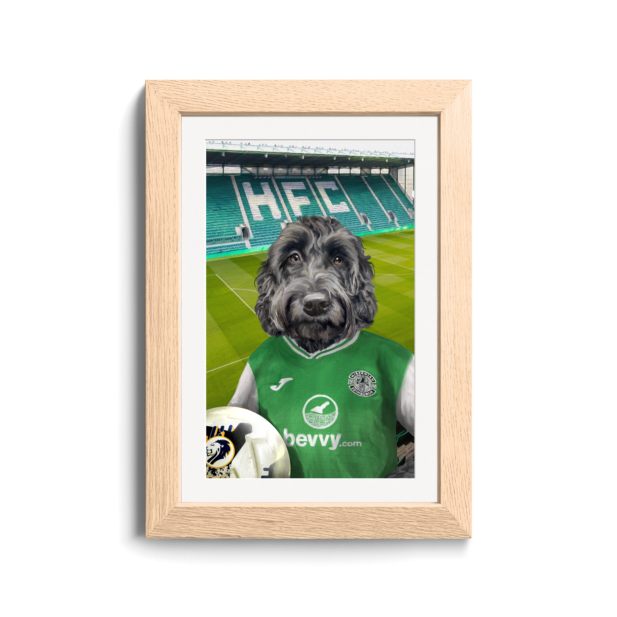 Your Pet in a Hibernian Home 24/25 Shirt inside Ground