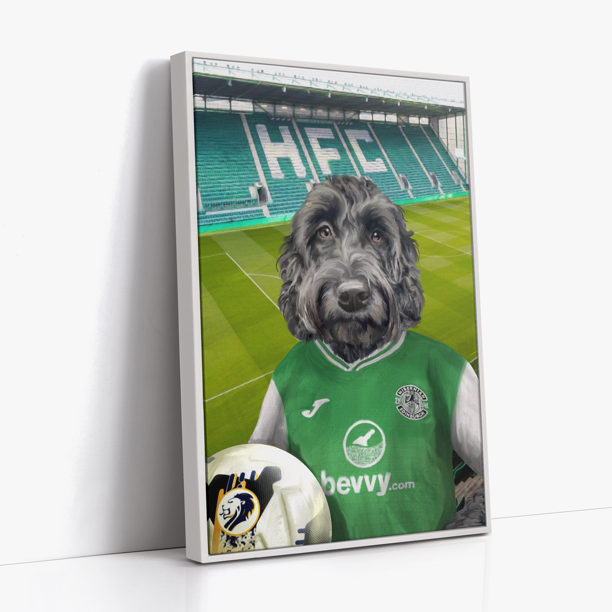 Your Pet in a Hibernian Home 24/25 Shirt inside Ground