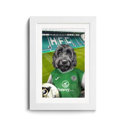 Your Pet in a Hibernian Home 24/25 Shirt inside Ground