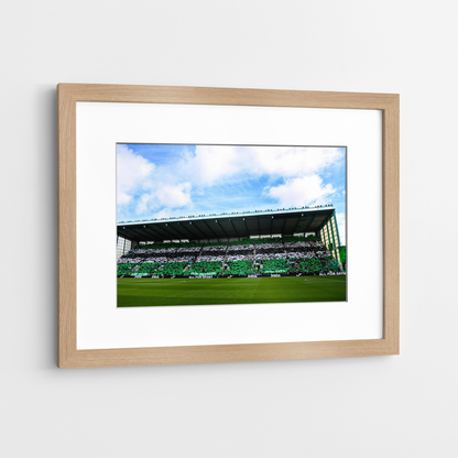 Hibernian FC Ground IMG #3