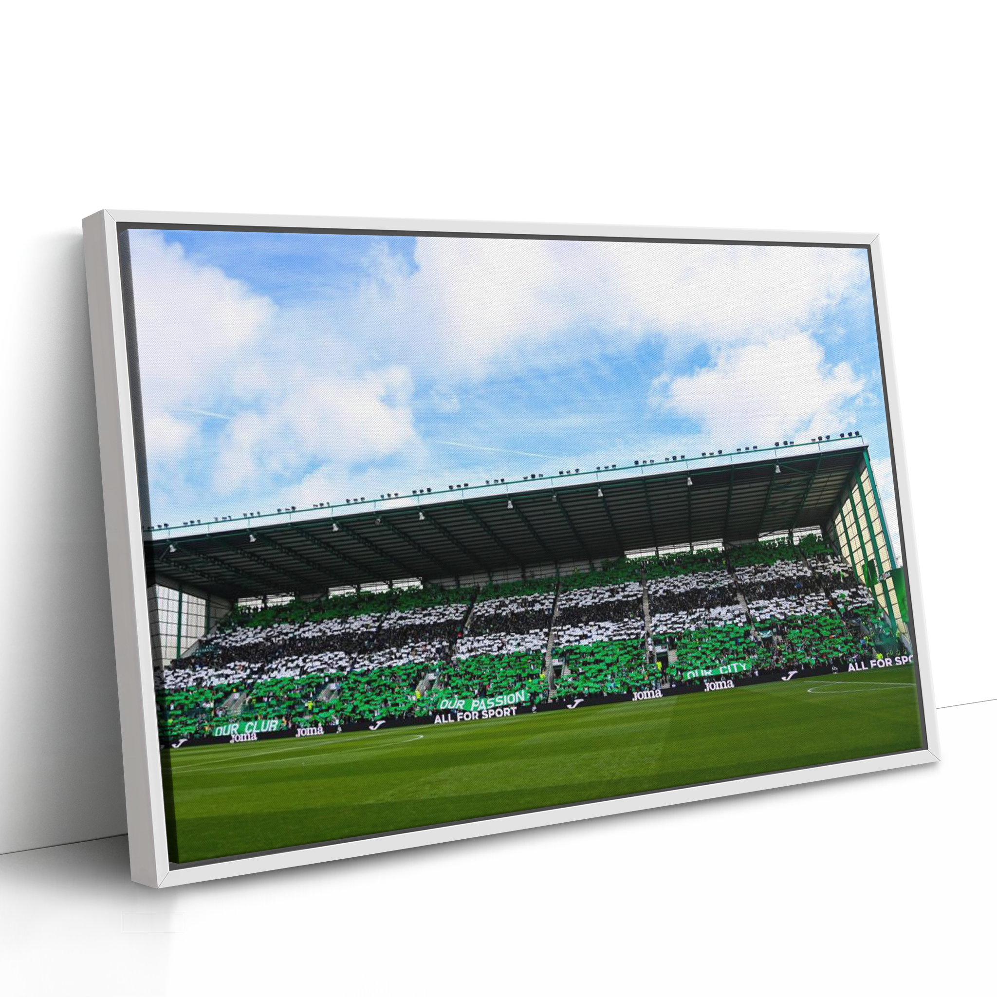 Hibernian FC Ground IMG #3