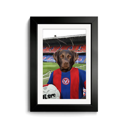 Your Pet in a Crystal Palace 1974 Home Shirt inside Selhurst Park