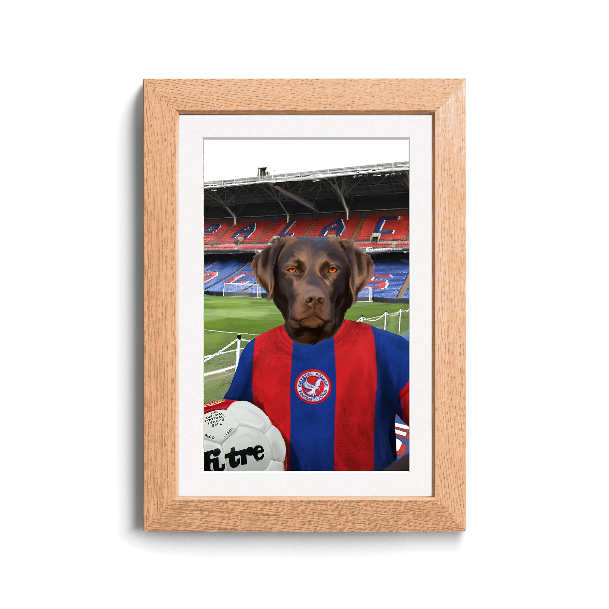 Your Pet in a Crystal Palace 1974 Home Shirt inside Selhurst Park