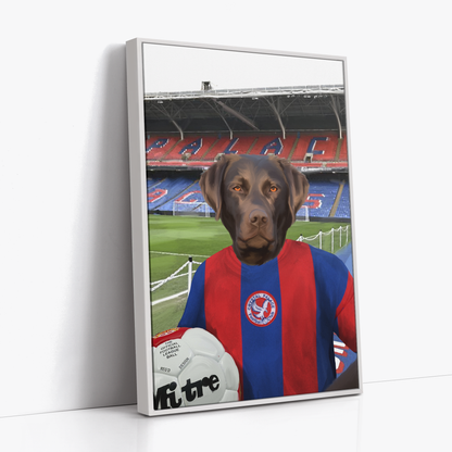 Your Pet in a Crystal Palace 1974 Home Shirt inside Selhurst Park