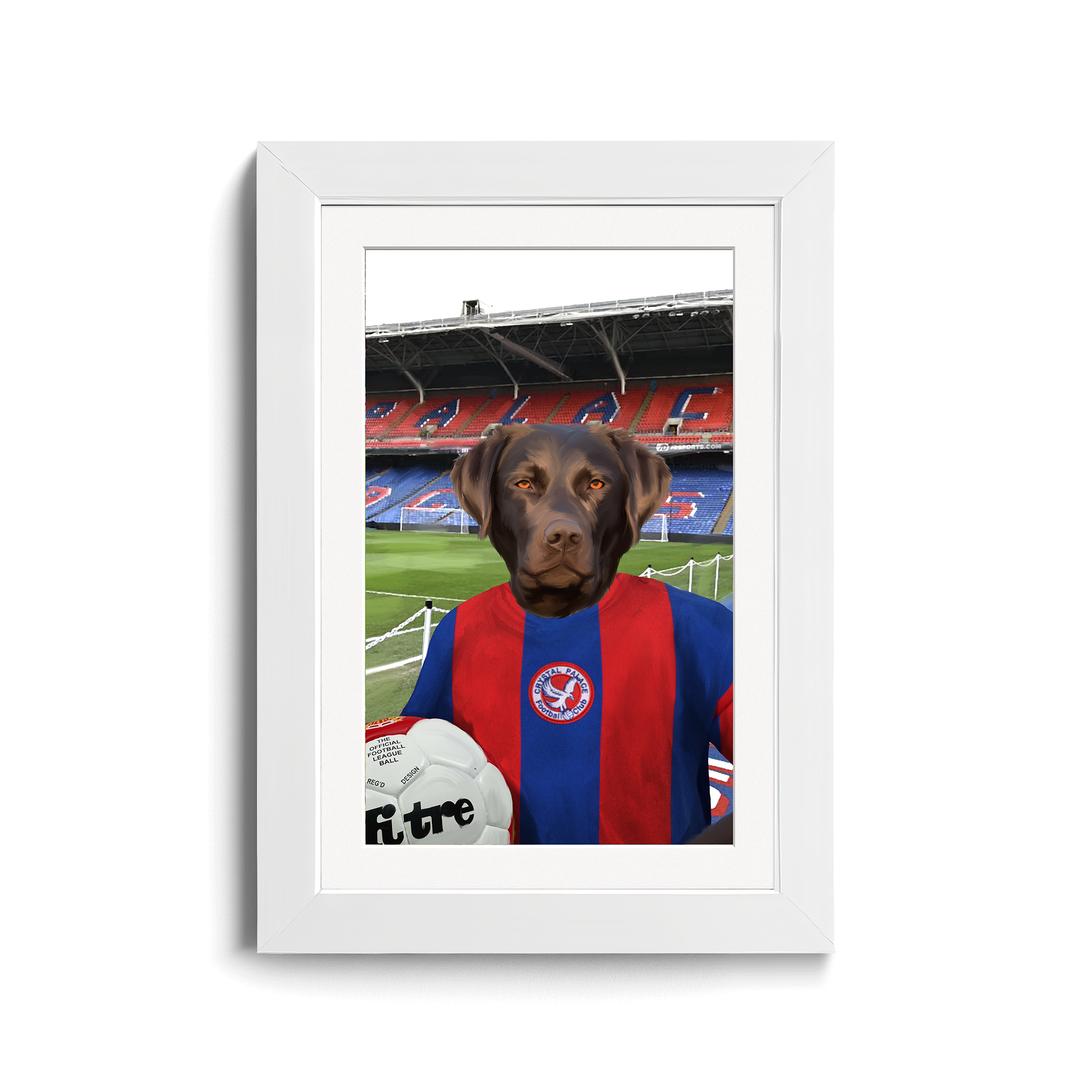 Your Pet in a Crystal Palace 1974 Home Shirt inside Selhurst Park