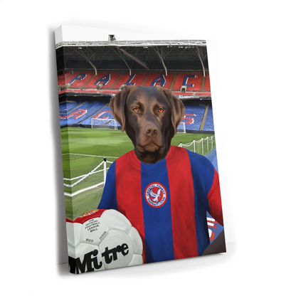 Your Pet in a Crystal Palace 1974 Home Shirt inside Selhurst Park