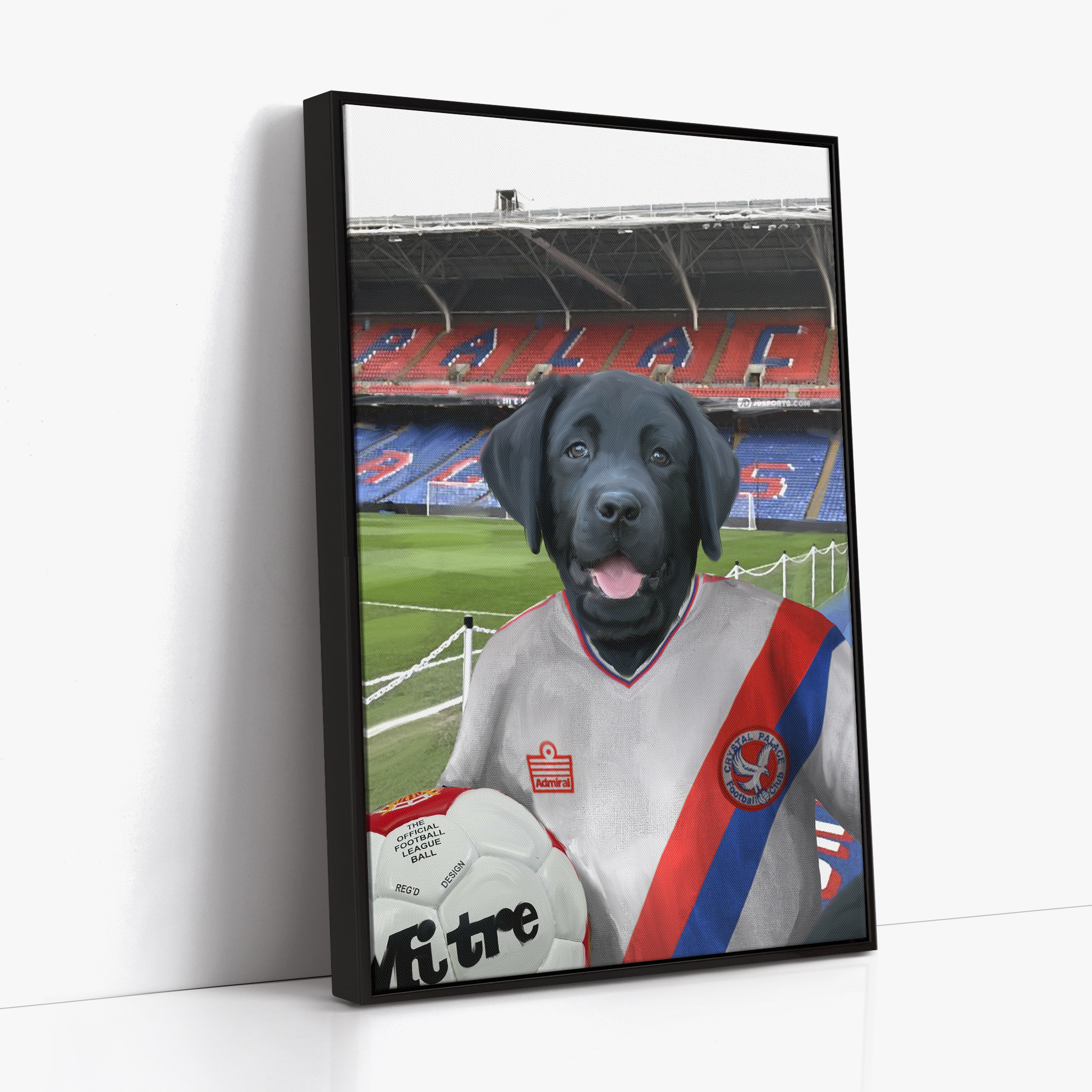 Your Pet in a Crystal Palace 1978 Home Shirt inside Selhurst Park