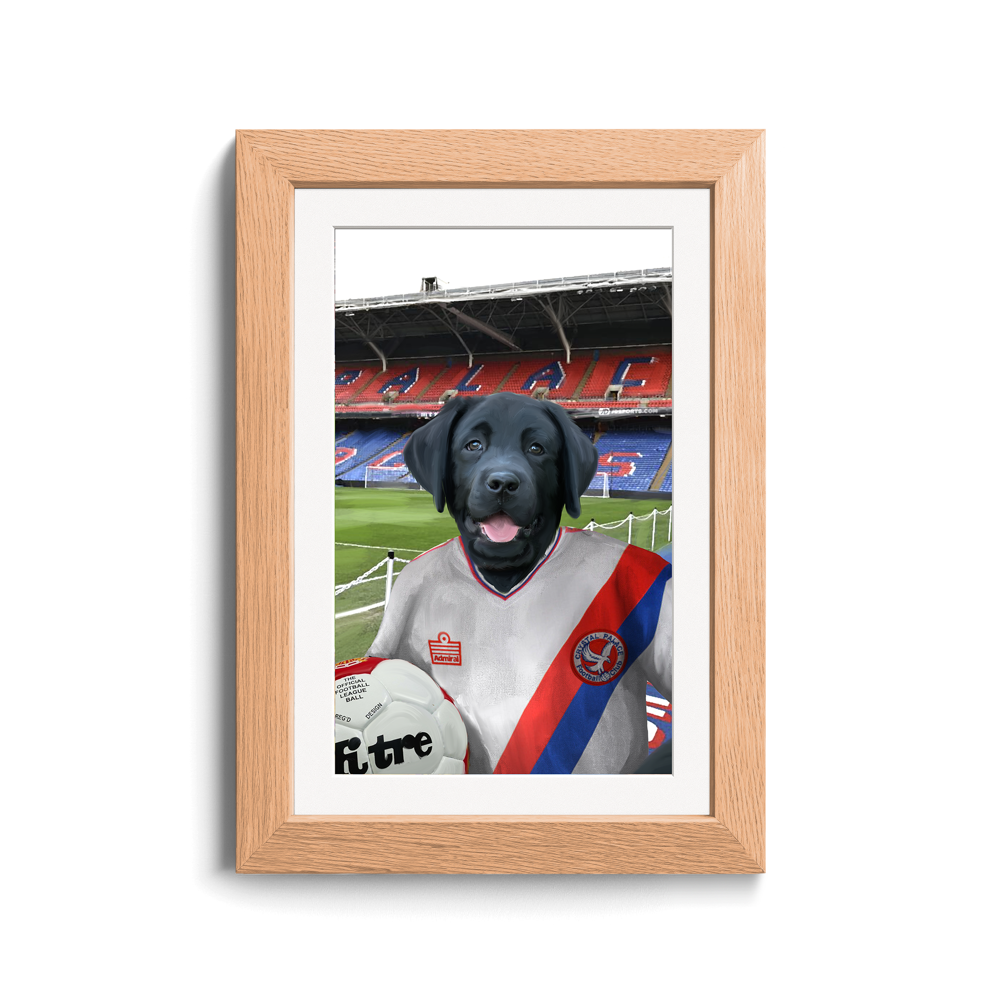 Your Pet in a Crystal Palace 1978 Home Shirt inside Selhurst Park